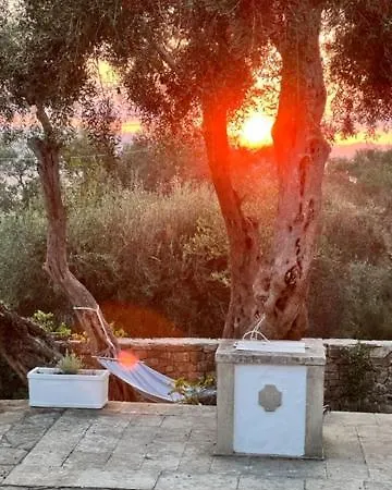 Olive Grove House Paxos Loggos
