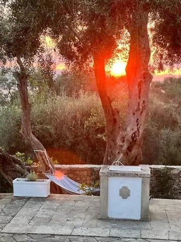 Olive Grove House Paxos Loggos